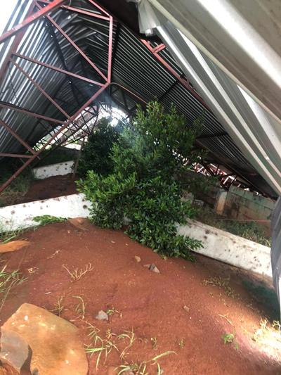 Temporal causa destruiÃ§Ã£o em Rio Bonito do IguaÃ§u