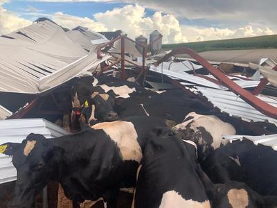 Temporal causa destruiÃ§Ã£o em Rio Bonito do IguaÃ§u