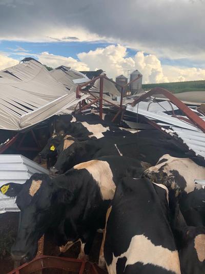 Temporal causa destruiÃ§Ã£o em Rio Bonito do IguaÃ§u