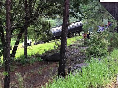 Marquinho: Acidente envolvendo dois caminhÃµes boiadeiro aconteceu prÃ³ximo ao Rio do Cobre 