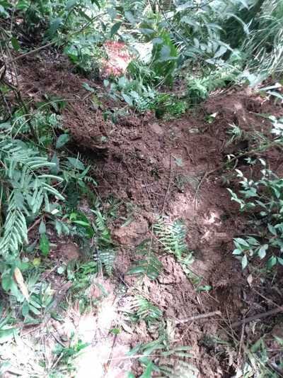 Laranjeiras: ColisÃ£o frontal entre carro e caminhÃ£o deixa trÃªs pessoas mortas na BR 277