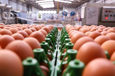 DERAL - PreÃ§o do ovo aumenta em fevereiro para produtor, atacado e varejo