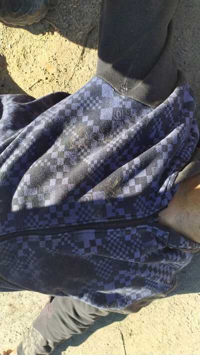 TrÃªs bandidos sÃ£o mortos e um Ã© preso apÃ³s tentativa de roubo a banco no PR