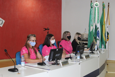 LÃ­deres femininas da Coprossel apresentam projeto para construÃ§Ã£o de nova gruta na comunidade Linha Nova - RBI