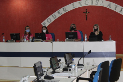 LÃ­deres femininas da Coprossel apresentam projeto para construÃ§Ã£o de nova gruta na comunidade Linha Nova - RBI