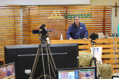 Coprossel  -  Conhecimento Ã© a semente da produtividade e rentabilidade no Agro