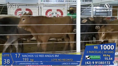 LeilÃ£o da Sociedade Rural de Laranjeiras do Sul gerou mais R$ 2,3 milhÃµes em negÃ³cios 