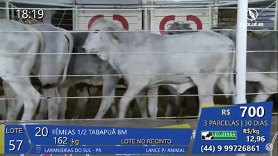 LeilÃ£o da Sociedade Rural de Laranjeiras do Sul gerou mais R$ 2,3 milhÃµes em negÃ³cios 