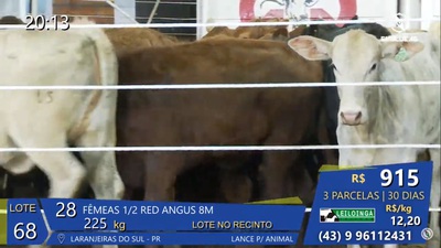 LeilÃ£o da Sociedade Rural de Laranjeiras do Sul gerou mais R$ 2,3 milhÃµes em negÃ³cios 