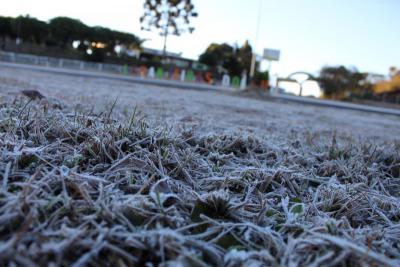 Confira as fotos da geada na Região de Laranjeiras do Sul (19/07)