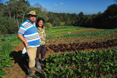 CertificaÃ§Ã£o e cuidados fazem de Tijucas do Sul referÃªncia na produÃ§Ã£o de orgÃ¢nicos no ParanÃ¡