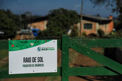 CertificaÃ§Ã£o e cuidados fazem de Tijucas do Sul referÃªncia na produÃ§Ã£o de orgÃ¢nicos no ParanÃ¡