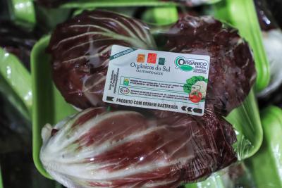 CertificaÃ§Ã£o e cuidados fazem de Tijucas do Sul referÃªncia na produÃ§Ã£o de orgÃ¢nicos no ParanÃ¡