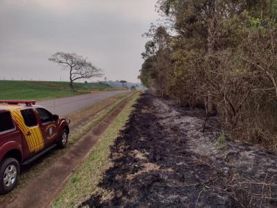 Fogo AmeaÃ§a Reserva Florestal em Rio Bonito do IguaÃ§u