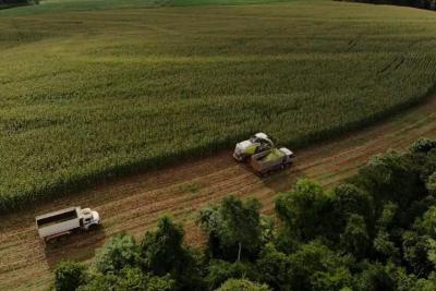 Torneio avalia qualidade da silagem de milho e incentiva melhorias no sistema de produÃ§Ã£o