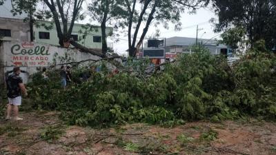 Ventos de atÃ© 100 km/h atingem a RegiÃ£o Sudoeste do Estado