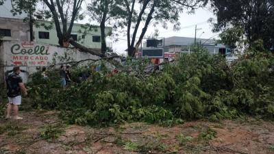 Ventos de até 100 km/h atingem a Região Sudoeste do Estado