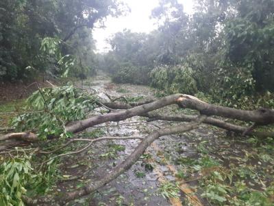 Ventos de atÃ© 100 km/h atingem a RegiÃ£o Sudoeste do Estado