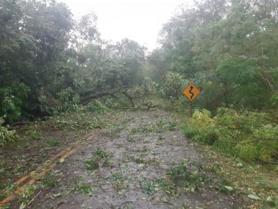 Ventos de atÃ© 100 km/h atingem a RegiÃ£o Sudoeste do Estado