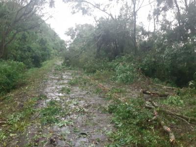 Ventos de atÃ© 100 km/h atingem a RegiÃ£o Sudoeste do Estado