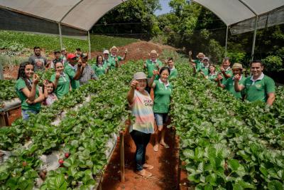 Programa do Sicredi oferece assistÃªncia tÃ©cnica para produtores rurais associados