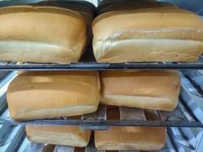 â€œNatal Sem Fomeâ€: FamÃ­lias do MST partilham 5 toneladas de alimentos, em Laranjeiras do sul (18/12)