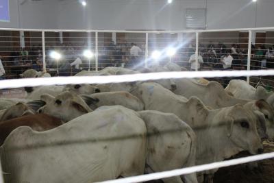 Recinto de LeilÃµes Silvino Schuster de Laranjeiras do Sul, foi reinaugurado nesta sexta-feira (08/04) 