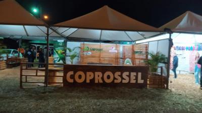 Exporio 2022 foi Sucesso de PÃºblico