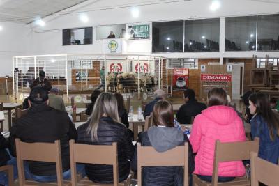 LeilÃ£o de Gado da Sociedade Rural de Laranjeira do Sul comercializou mais de 480 animais de corte 