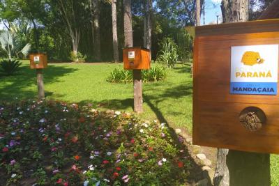 Projeto Poliniza ParanÃ¡ estÃ¡ entre os trÃªs primeiros classificados de premiaÃ§Ã£o nacional