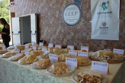 Curso do IDR-PR em Laranjeiras do Sul ressalta oportunidade do queijo artesanal da regiÃ£o
