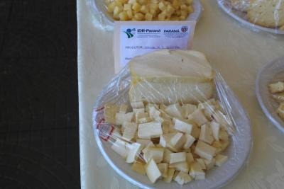 Curso do IDR-PR em Laranjeiras do Sul ressalta oportunidade do queijo artesanal da regiÃ£o