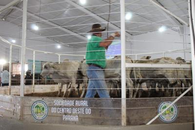 Sociedade Rural do Centro Oeste do ParanÃ¡, uma referÃªncia na produÃ§Ã£o de proteÃ­na animal 