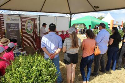 DIA DE CAMPO COPROSSEL â€“ Novas tecnologias de sementes, tratamentos, mÃ¡quinas e valorizaÃ§Ã£o do empreendedorismo feminino no agro