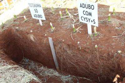 DIA DE CAMPO COPROSSEL â€“ Novas tecnologias de sementes, tratamentos, mÃ¡quinas e valorizaÃ§Ã£o do empreendedorismo feminino no agro