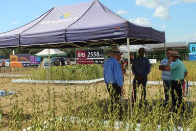 DIA DE CAMPO COPROSSEL â€“ Novas tecnologias de sementes, tratamentos, mÃ¡quinas e valorizaÃ§Ã£o do empreendedorismo feminino no agro