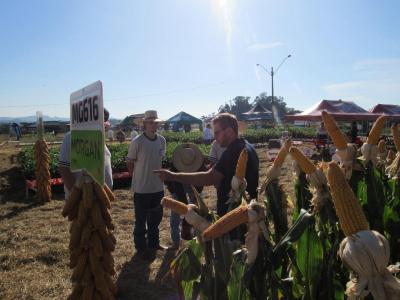 DIA DE CAMPO COPROSSEL â€“ Novas tecnologias de sementes, tratamentos, mÃ¡quinas e valorizaÃ§Ã£o do empreendedorismo feminino no agro