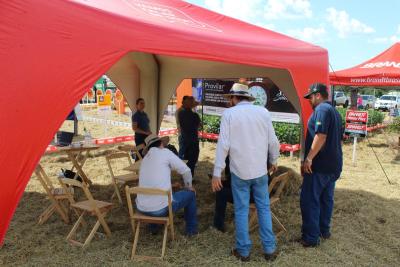 DIA DE CAMPO COPROSSEL â€“ Novas tecnologias de sementes, tratamentos, mÃ¡quinas e valorizaÃ§Ã£o do empreendedorismo feminino no agro