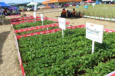 DIA DE CAMPO COPROSSEL â€“ Novas tecnologias de sementes, tratamentos, mÃ¡quinas e valorizaÃ§Ã£o do empreendedorismo feminino no agro