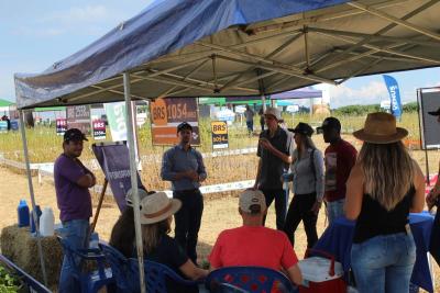 DIA DE CAMPO COPROSSEL â€“ Novas tecnologias de sementes, tratamentos, mÃ¡quinas e valorizaÃ§Ã£o do empreendedorismo feminino no agro