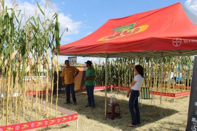 DIA DE CAMPO COPROSSEL â€“ Novas tecnologias de sementes, tratamentos, mÃ¡quinas e valorizaÃ§Ã£o do empreendedorismo feminino no agro