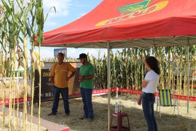 DIA DE CAMPO COPROSSEL â€“ Novas tecnologias de sementes, tratamentos, mÃ¡quinas e valorizaÃ§Ã£o do empreendedorismo feminino no agro