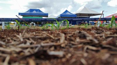 DIA DE CAMPO COPROSSEL 2023 â€“ Alta tecnologia, inovaÃ§Ã£o e valorizaÃ§Ã£o das mulheres do Agro