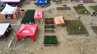 DIA DE CAMPO COPROSSEL 2023 â€“ Alta tecnologia, inovaÃ§Ã£o e valorizaÃ§Ã£o das mulheres do Agro
