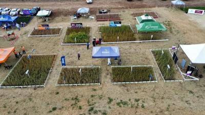 DIA DE CAMPO COPROSSEL 2023 â€“ Alta tecnologia, inovaÃ§Ã£o e valorizaÃ§Ã£o das mulheres do Agro