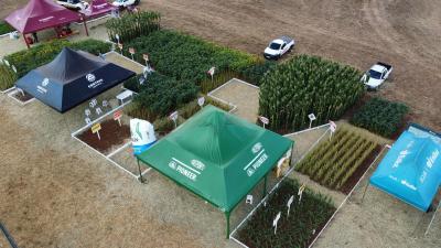 DIA DE CAMPO COPROSSEL 2023 â€“ Alta tecnologia, inovaÃ§Ã£o e valorizaÃ§Ã£o das mulheres do Agro