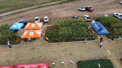 DIA DE CAMPO COPROSSEL 2023 â€“ Alta tecnologia, inovaÃ§Ã£o e valorizaÃ§Ã£o das mulheres do Agro