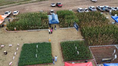 DIA DE CAMPO COPROSSEL 2023 â€“ Alta tecnologia, inovaÃ§Ã£o e valorizaÃ§Ã£o das mulheres do Agro