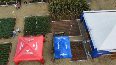 DIA DE CAMPO COPROSSEL 2023 â€“ Alta tecnologia, inovaÃ§Ã£o e valorizaÃ§Ã£o das mulheres do Agro