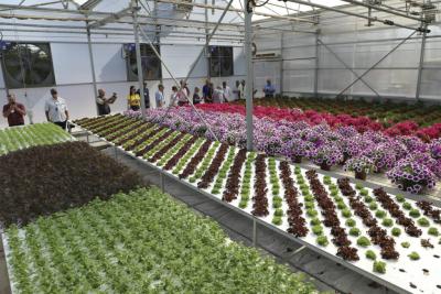 FAEP conhece tÃ©cnicas de Israel para produzir alimentos no deserto